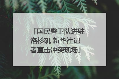 国民警卫队进驻洛杉矶 新华社记者直击冲突现场