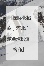 国际化招商，河北广邀全球投资客商