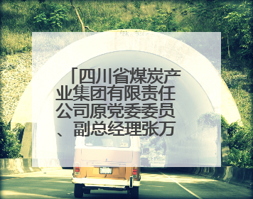 四川省煤炭产业集团有限责任公司原党委委员、副总经理张万松 接受纪律审查和监察调查