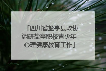 四川省盐亭县政协调研盐亭职校青少年心理健康教育工作