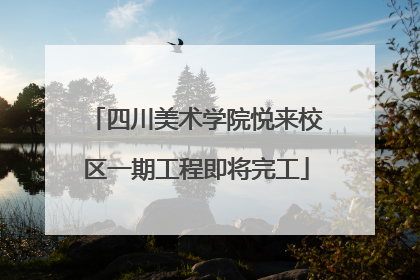 四川美术学院悦来校区一期工程即将完工