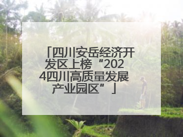 四川安岳经济开发区上榜“2024四川高质量发展产业园区”