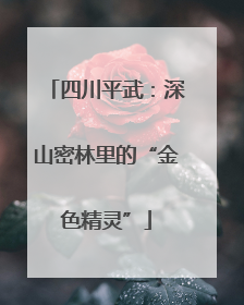 四川平武：深山密林里的“金色精灵”