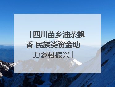 四川苗乡油茶飘香 民族类资金助力乡村振兴
