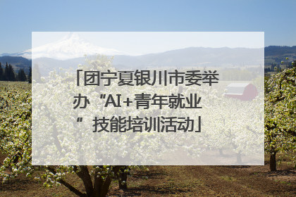 团宁夏银川市委举办“AI+青年就业”技能培训活动
