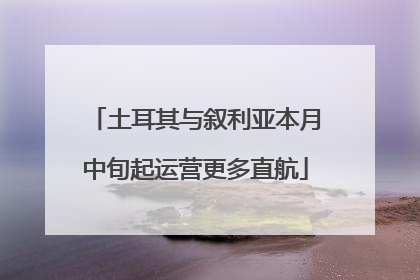 土耳其与叙利亚本月中旬起运营更多直航