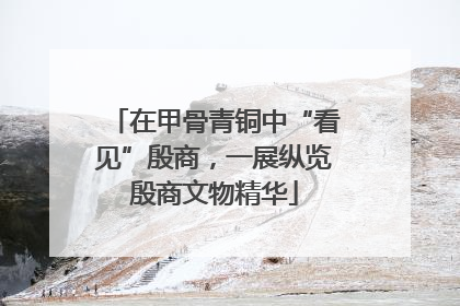 在甲骨青铜中“看见”殷商，一展纵览殷商文物精华
