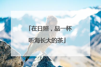在日照，品一杯听海长大的茶