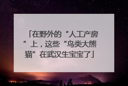 在野外的“人工产房”上，这些“鸟类大熊猫”在武汉生宝宝了
