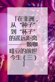 在非洲，从“种子”到“杯子”的遥远距离——一颗咖啡豆的前世今生（三）