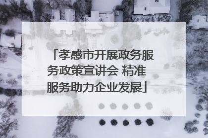 孝感市开展政务服务政策宣讲会 精准服务助力企业发展
