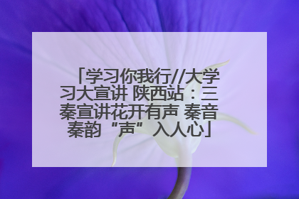 学习你我行//大学习大宣讲 陕西站：三秦宣讲花开有声 秦音秦韵“声”入人心