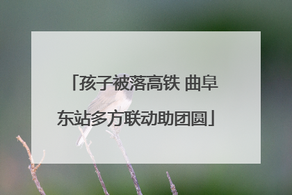孩子被落高铁 曲阜东站多方联动助团圆