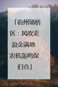 宿州埇桥区：风吹麦浪金满地 农机轰鸣保归仓