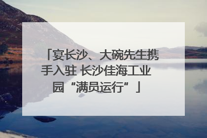 宴长沙、大碗先生携手入驻 长沙佳海工业园“满员运行”
