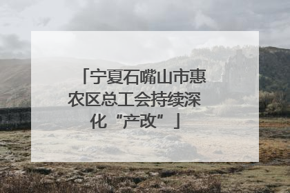 宁夏石嘴山市惠农区总工会持续深化“产改”