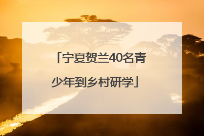 宁夏贺兰40名青少年到乡村研学