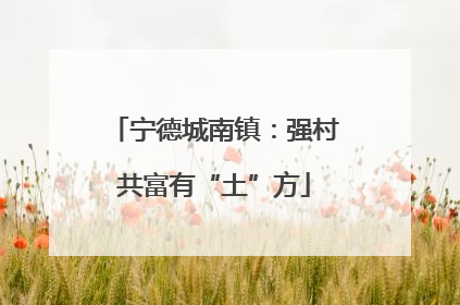 宁德城南镇：强村共富有“土”方