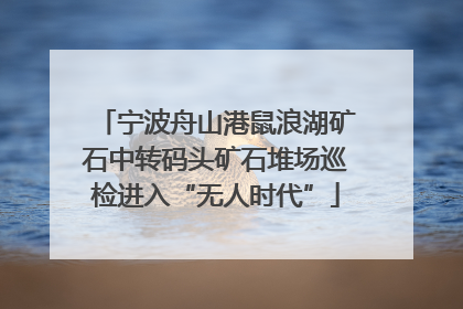 宁波舟山港鼠浪湖矿石中转码头矿石堆场巡检进入“无人时代”