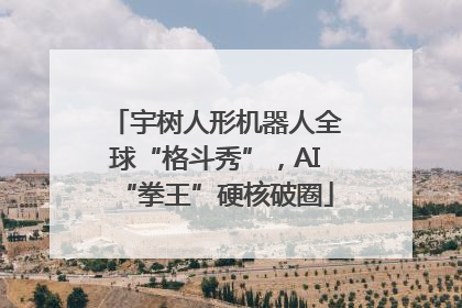 宇树人形机器人全球“格斗秀”，AI“拳王”硬核破圈