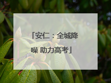 安仁：全城降噪 助力高考