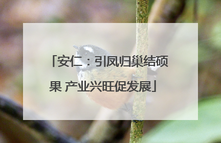 安仁：引凤归巢结硕果 产业兴旺促发展