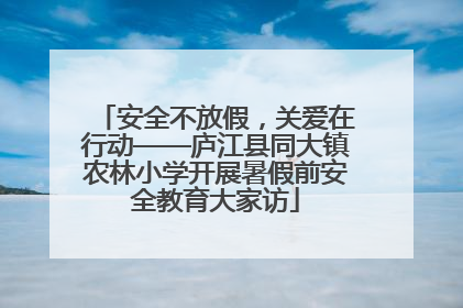 安全不放假，关爱在行动——庐江县同大镇农林小学开展暑假前安全教育大家访