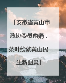 安徽省黄山市政协委员俞娟：茶叶绘就黄山民生新图景
