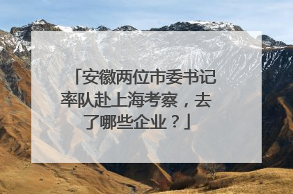 安徽两位市委书记率队赴上海考察，去了哪些企业？