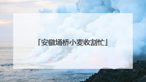 安徽埇桥小麦收割忙
