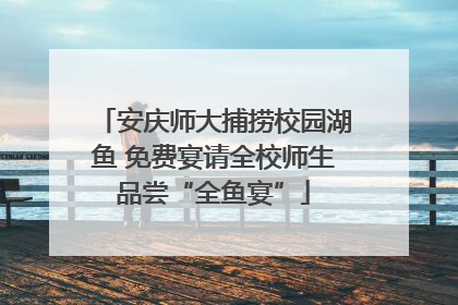 安庆师大捕捞校园湖鱼 免费宴请全校师生品尝“全鱼宴”