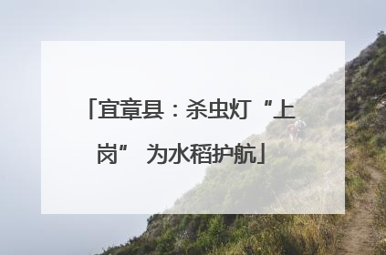 宜章县：杀虫灯“上岗” 为水稻护航