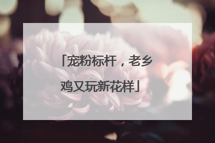 宠粉标杆，老乡鸡又玩新花样