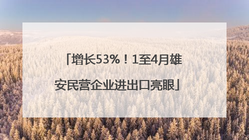 增长53%！1至4月雄安民营企业进出口亮眼