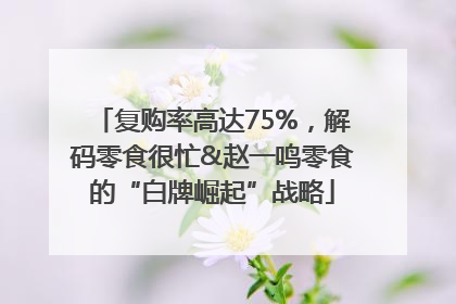 复购率高达75%，解码零食很忙&赵一鸣零食的“白牌崛起”战略