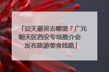 夏天避暑去哪里？广元朝天区西安专场推介会 发布旅游美食线路
