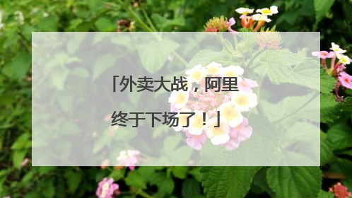 外卖大战，阿里终于下场了！