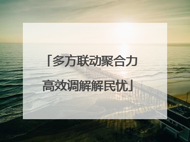多方联动聚合力 高效调解解民忧