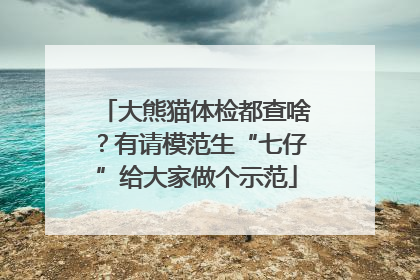 大熊猫体检都查啥？有请模范生“七仔”给大家做个示范