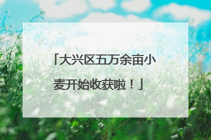 大兴区五万余亩小麦开始收获啦！