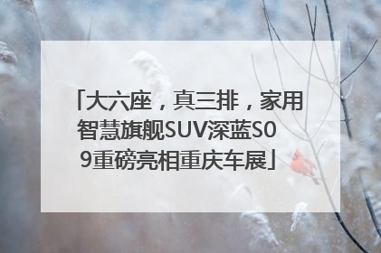 大六座，真三排，家用智慧旗舰SUV深蓝S09重磅亮相重庆车展