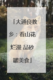 大通良教乡：看山花烂漫 品砂罐美食