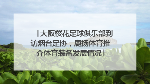 大阪樱花足球俱乐部到访烟台足协，鹿扬体育推介体育装备发展情况