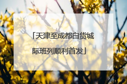 天津至成都白货城际班列顺利首发