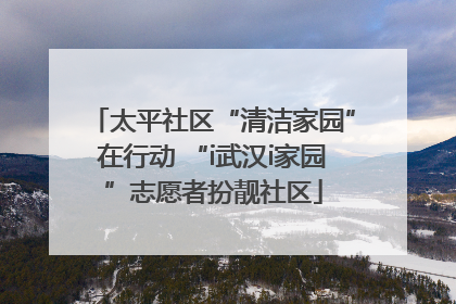 太平社区“清洁家园”在行动 “i武汉i家园”志愿者扮靓社区