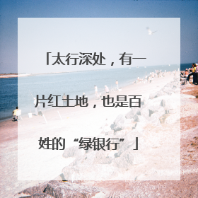 太行深处，有一片红土地，也是百姓的“绿银行”
