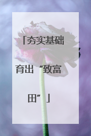 夯实基础育出“致富田”