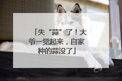 失“蒜”了！大爷一觉起来，自家种的蒜没了