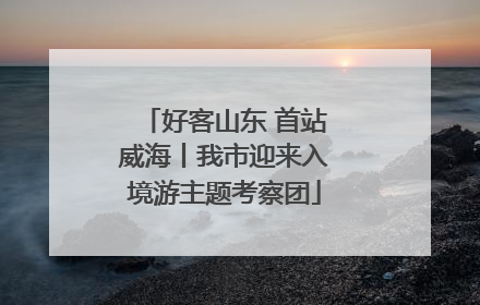 好客山东 首站威海丨我市迎来入境游主题考察团