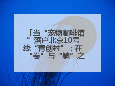 当“宠物咖啡馆”落户北京10号线“青创村”：在“卷”与“躺”之间，他们找到了第三种生活公式